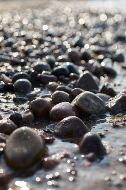   Gün batımında Kolobrzeg yakınlarında, Polonya Baltık Denizi kıyısında çakıl taşları.                             