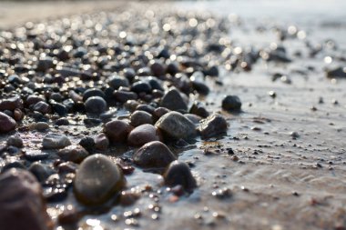 Gün batımında Kolobrzeg yakınlarında, Polonya Baltık Denizi kıyısında çakıl taşları.                               
