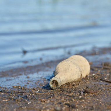  Magdeburg yakınlarındaki Herrenkrug Parkı 'ndaki Elbe kıyısında camdan bir şişe.                               