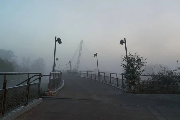Herrenkrugsteg Uma Ponte Suspensa Sobre Rio Elba Ciclovia Elba Perto — Fotografia de Stock