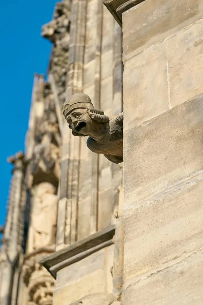 Pískovcový Chrlič Středověké Fasádě Gotické Magdeburské Katedrály Německu — Stock fotografie
