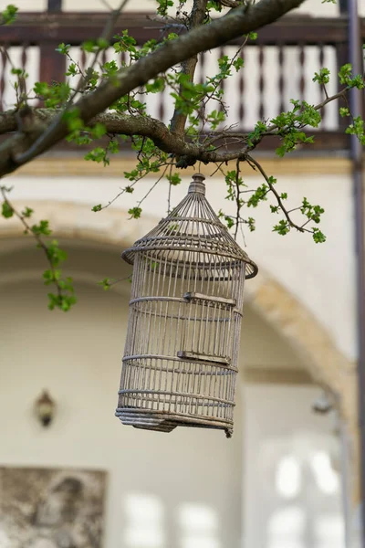 Παλιό Ξύλινο Κλουβί Πουλιών Διακόσμηση Ένα Δέντρο Στον Κήπο — Φωτογραφία Αρχείου