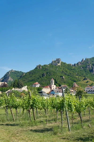 Traditional Wine Growing Village Duernstein Wachau Austria — Stock Photo, Image