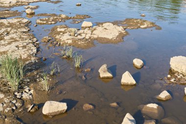 Almanya 'nın Magdeburg kentinde yazın yaşanan şiddetli kuraklık sırasında Elbe Nehri' nin kavrulmuş nehir yatağı.                               