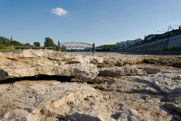 Cathedral Rock Domfelsen Riverbed Elbe River Magdeburg Exposed Due Great — Stock fotografie
