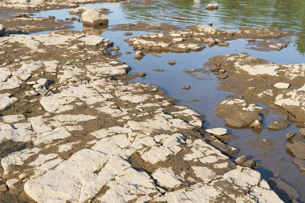 Exposed Parched Riverbed Elbe River Magdeburg Germany Severe Drought Summer — Stock Fotó