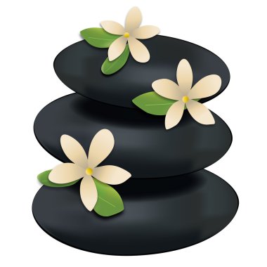 Spa, çiçekler, kayalar & bırakır