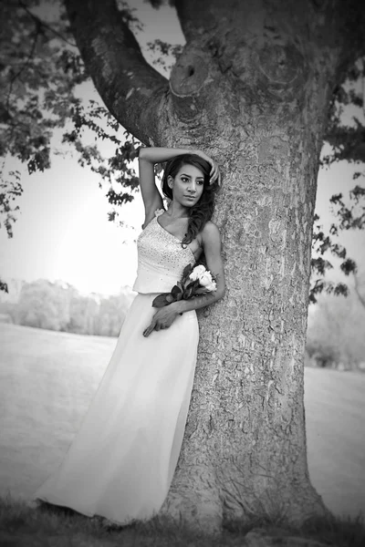 Hermosa novia posando en el árbol —  Fotos de Stock