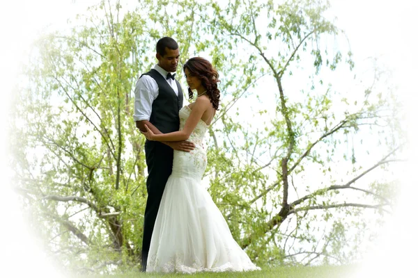 Wedding Couple In Nature — Stock Photo, Image