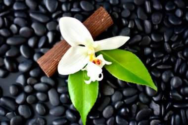 Siyah Spa kayalar ve beyaz çiçek