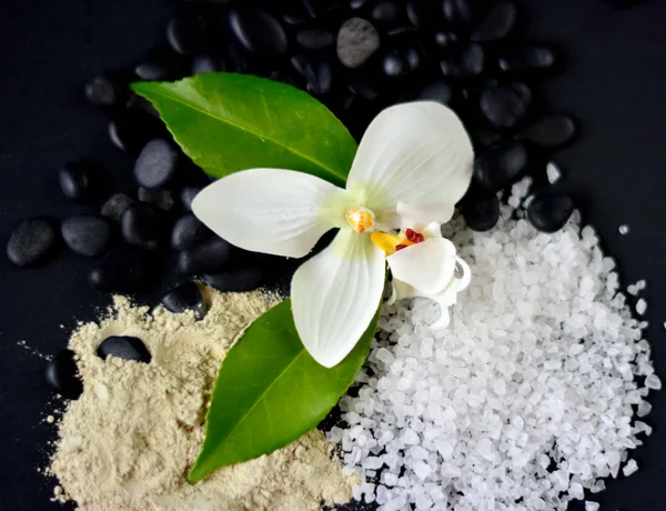 Sal marina y flores — Foto de Stock