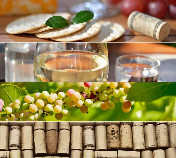 Wine Collage — Stock Photo, Image
