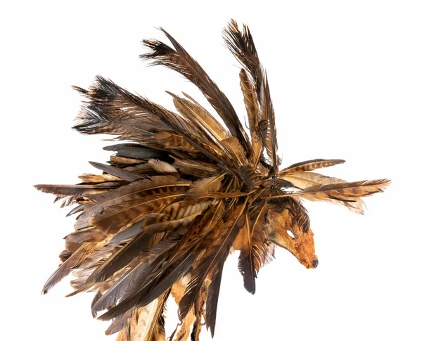 Replica di un vecchio cofano in pelliccia di volpe e piume di poiana degli indiani nordamericani — Foto Stock