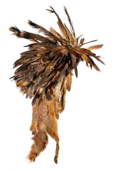 Replica di un vecchio cofano in pelliccia di volpe e piume di poiana degli indiani nordamericani — Foto Stock