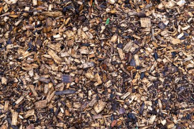 Wet dark softwood chips with foliage evenly spread as a background