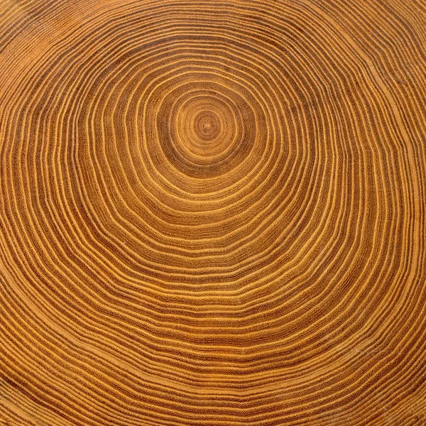 Detail Shot Tree Disc Made Brown Acacia Wood Annual Rings — Stock Photo, Image