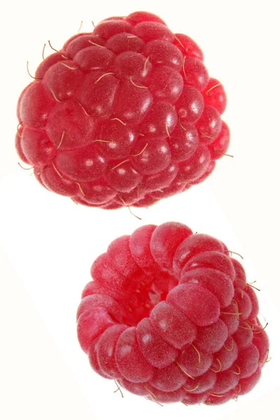 Малини фруктів — стокове фото