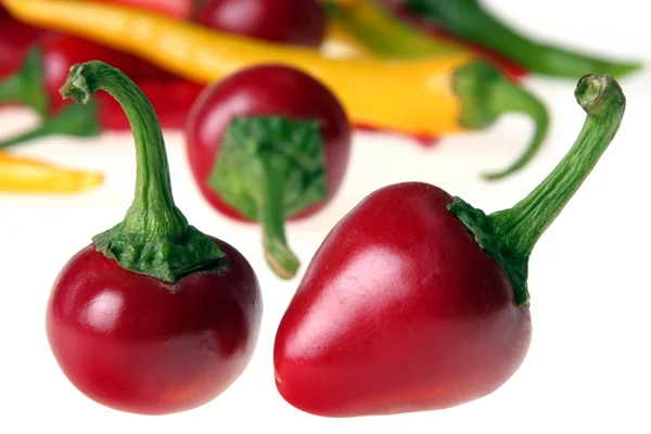 Color chili pepper — Stock Photo, Image