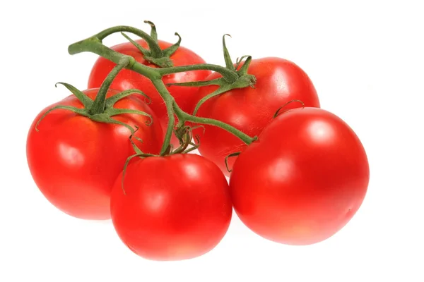 Rote Tomate — Stockfoto