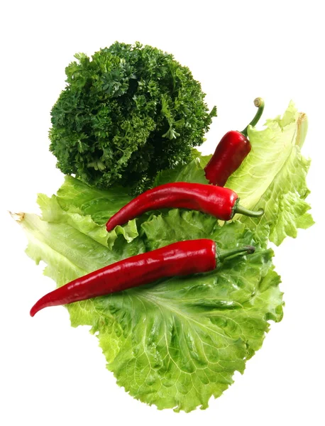 Lettuce and pepper — Stock Photo, Image