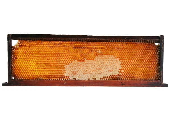 Honeycomb frame — Stock Photo, Image