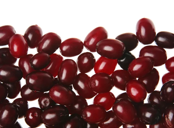 Cornelian berry — Stock Photo, Image