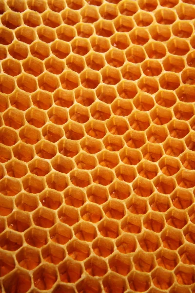Fondo panal de abeja —  Fotos de Stock
