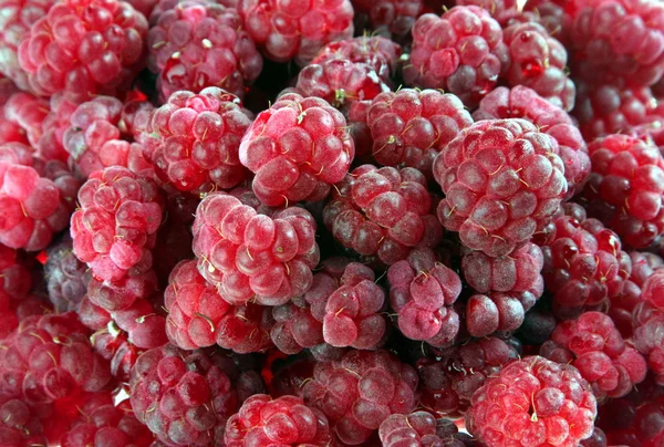 Raspberrie fondo — Foto de Stock