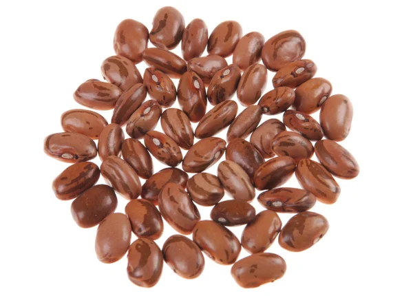 Kidney bean — Stock Photo, Image