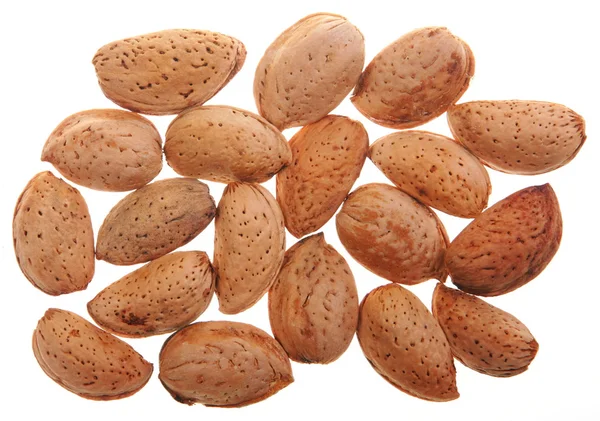 Almond nut — Stock Photo, Image