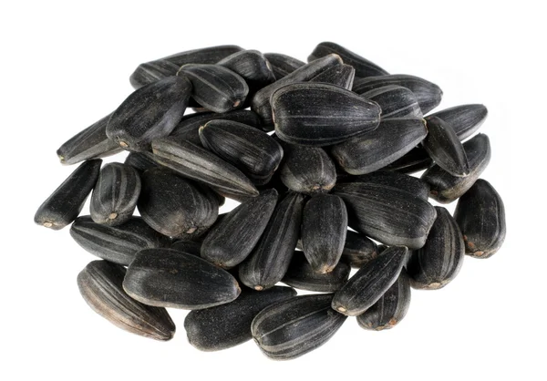 Sunflower seed detail — Stock Photo, Image