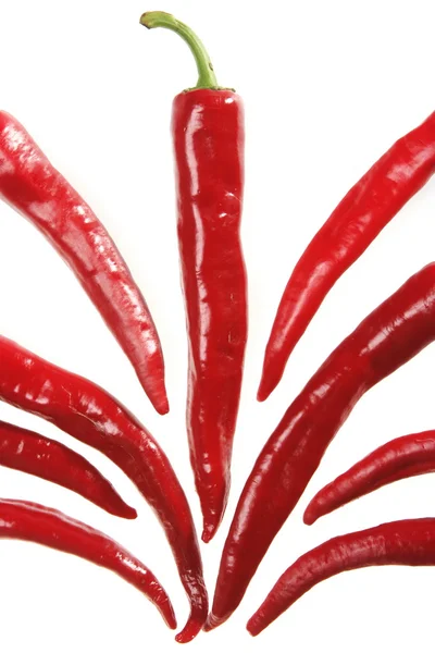 Pepper pattern — Stock Photo, Image