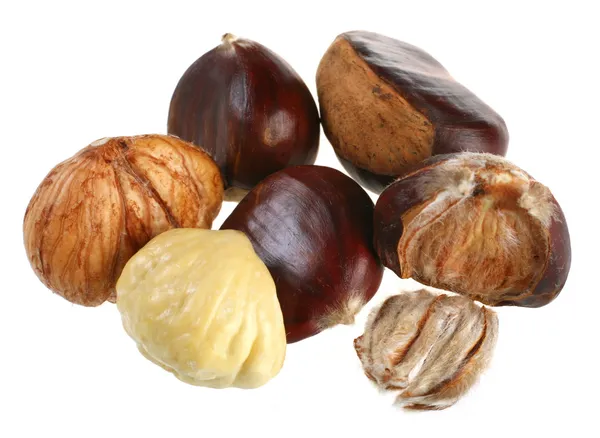 Chestnut — Stock Photo, Image