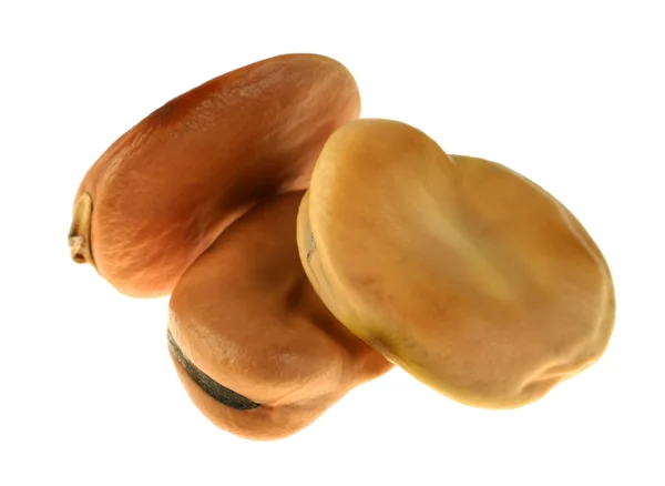茶色の乾燥した豆 — ストック写真