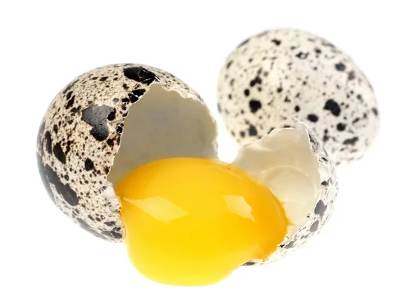 Vaktelägg — Stockfoto