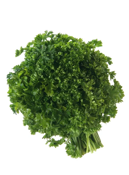 Parsley — Stock Photo, Image