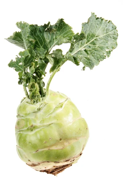 Kohlrabi cabbage — Stock Photo, Image