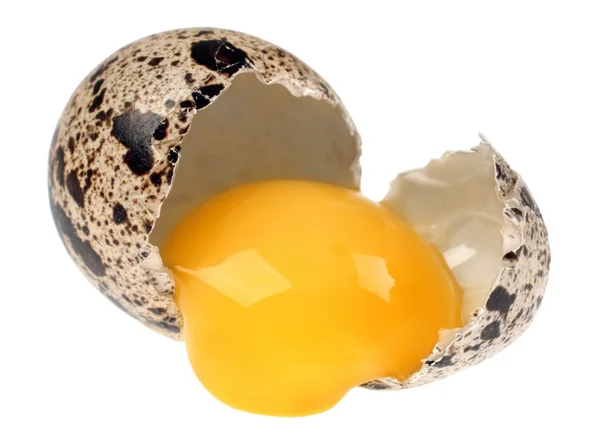 Quail egg broken — Stock Photo, Image