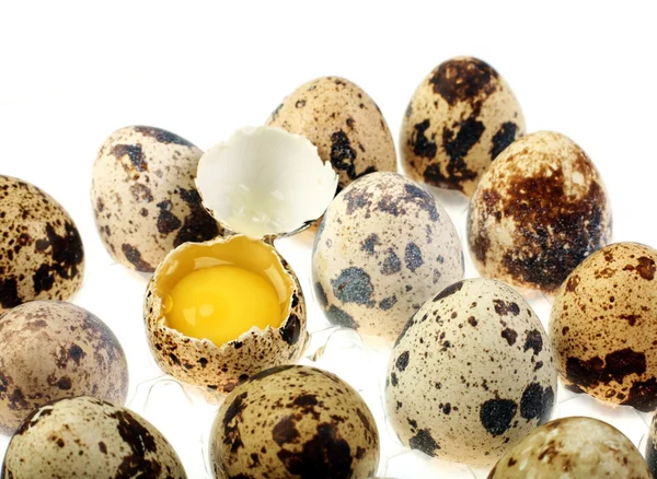 Quail egg — Stock Photo, Image