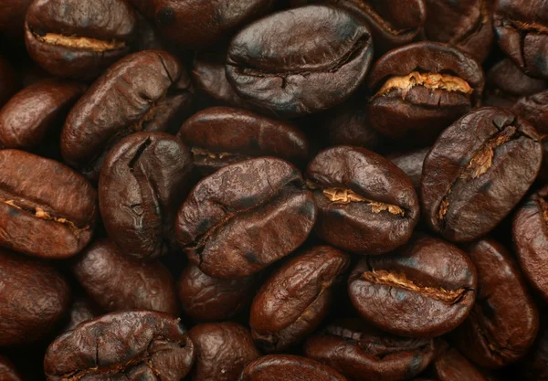 Coffee background — Stock Photo, Image