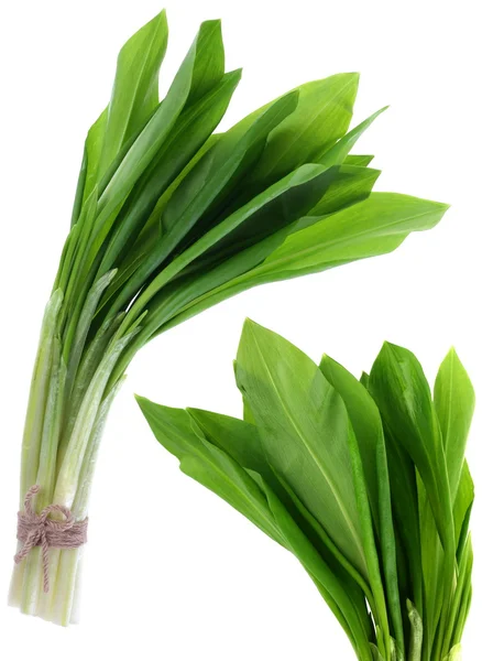 Ramson bunch — Stock Photo, Image