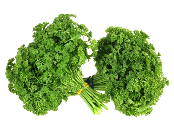 Parsley bunch — Stock Photo, Image