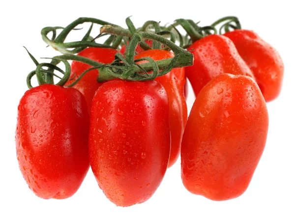 Tomate rojo — Foto de Stock