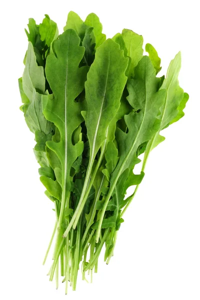 Arugula leaf — Stock Photo, Image