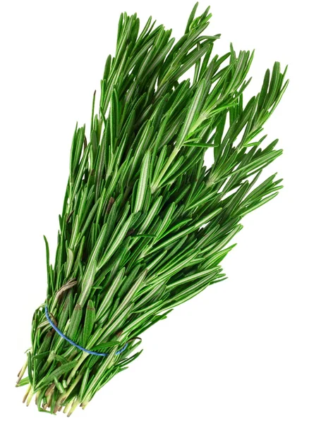 Tarragon herb — Stock Photo, Image