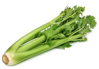 Celery root clipart