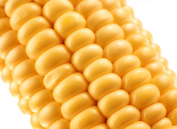 Крупный план кукурузы — стоковое фото