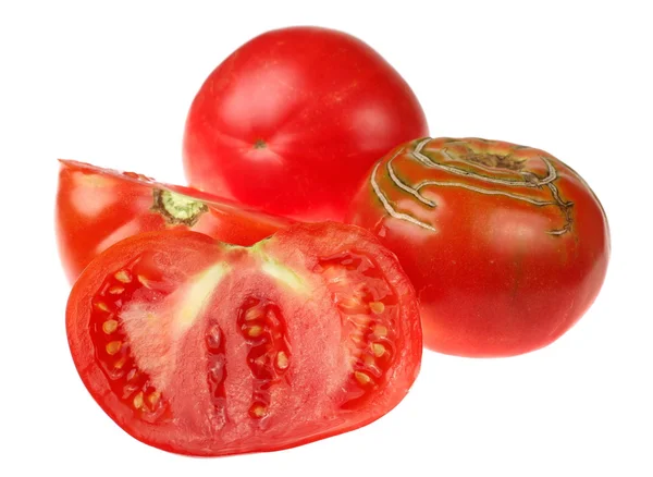 Stor tomat — Stockfoto