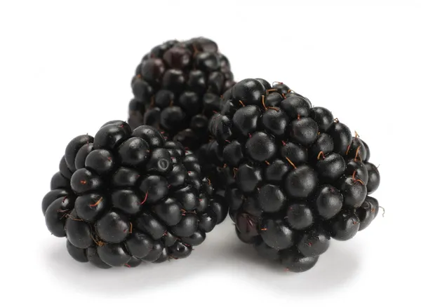 Blackberry on white — Stock Photo, Image