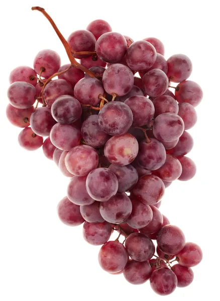 Fruit druif — Stockfoto